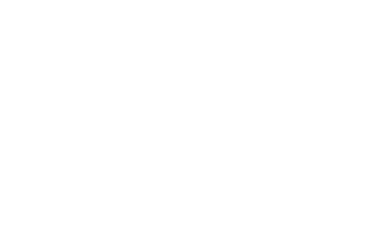 True North Analytics
